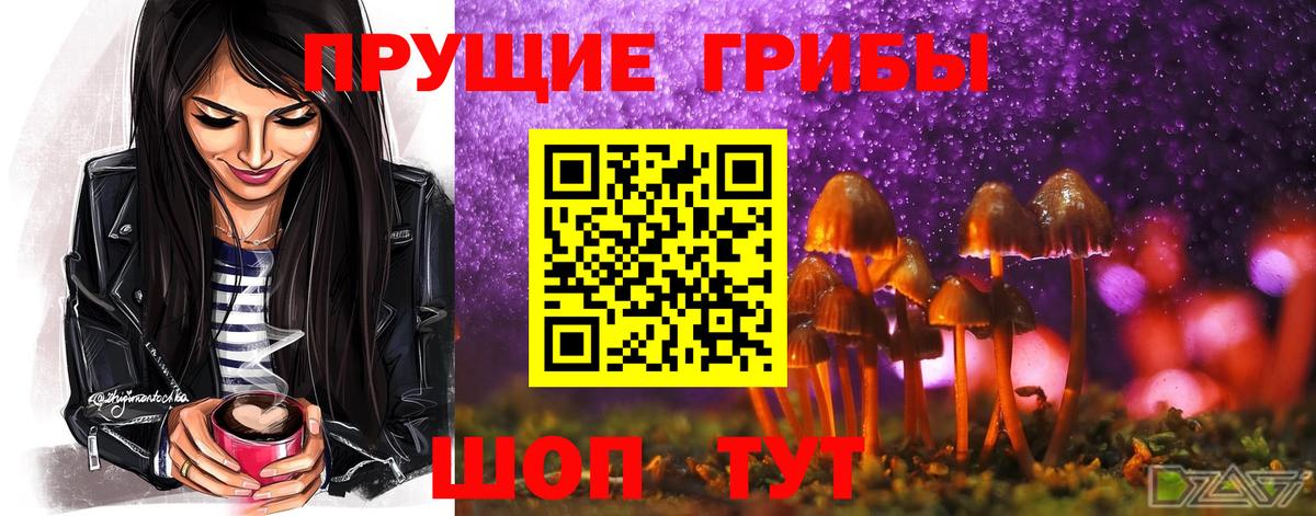 Саров  Галлюциногенные грибы ЛСД  где найти   Вход с VPN 