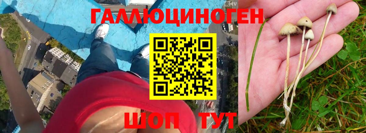 Галлюциногенные грибы мухоморы Саров